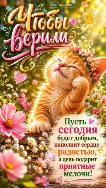 IMG 20260620 103822 573
