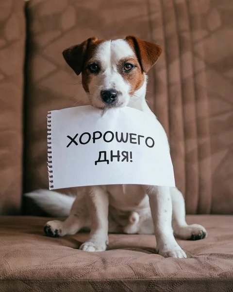 Всем вам!