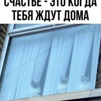 4b0448d6a3e7dc12cb