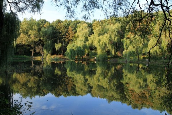 30Parc Edinet 150910 19