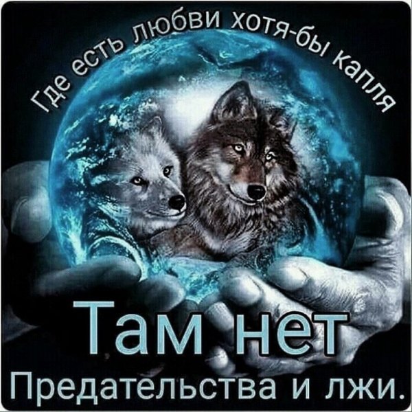 IMG 20201125 160336