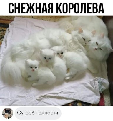 Смешные картинки~59