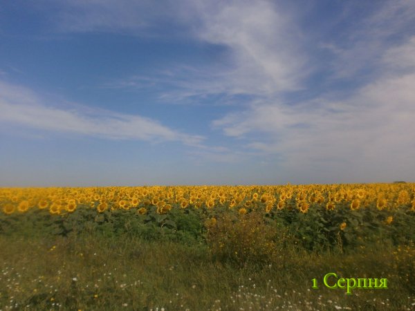 1 Серпня