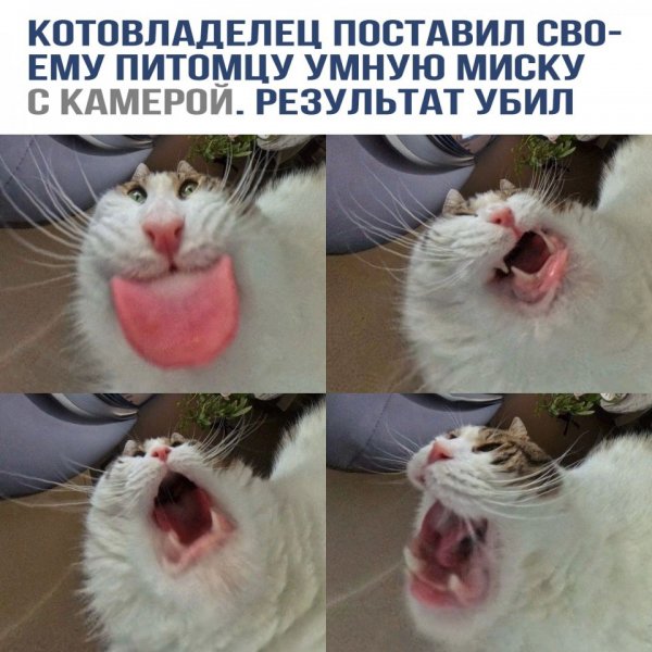 Zalipni.tv 7843fd71f7184a3f8a2ab02c58dbd4b0