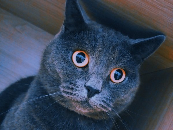 IMG 20230401 184549