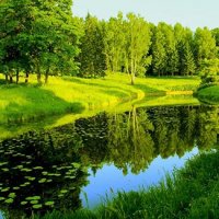 38d2957dbd1989f01e5c420c635a108f 0x0w