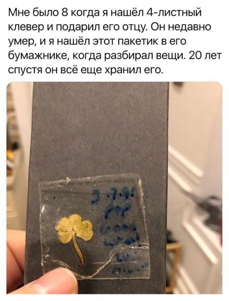 Родители
