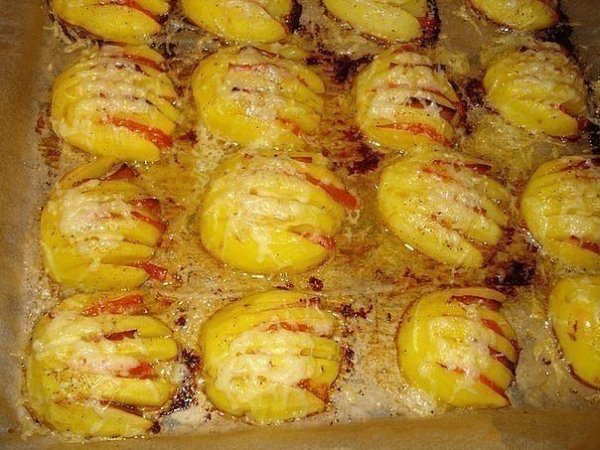 картошка ракушка