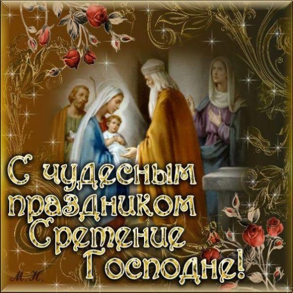 IMG-20250215-WA0029