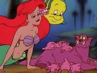 Images (14)