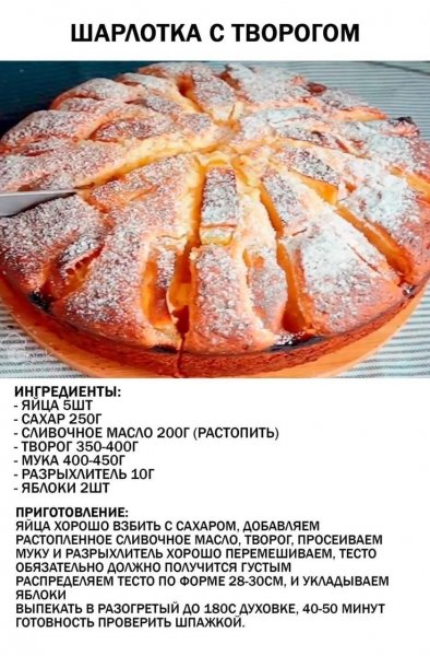 ШАРЛОТКА С ТВОРОГОМ