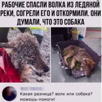 Скриншот 09-05-2020 102609