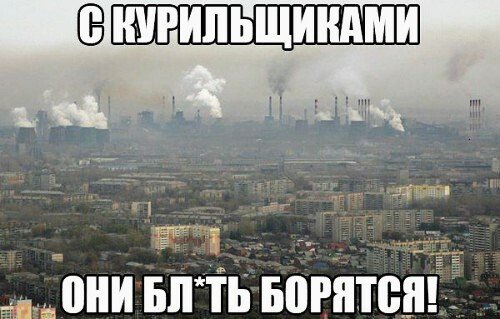 приколы 093103