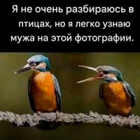 picture_421266461
