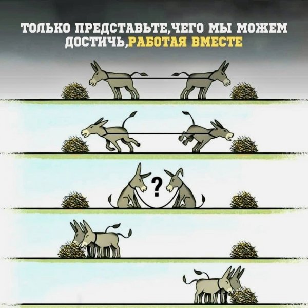 Вместе
