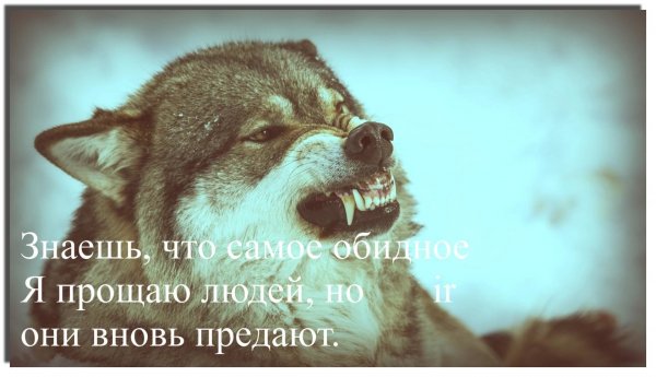 IMG 20200628 002409