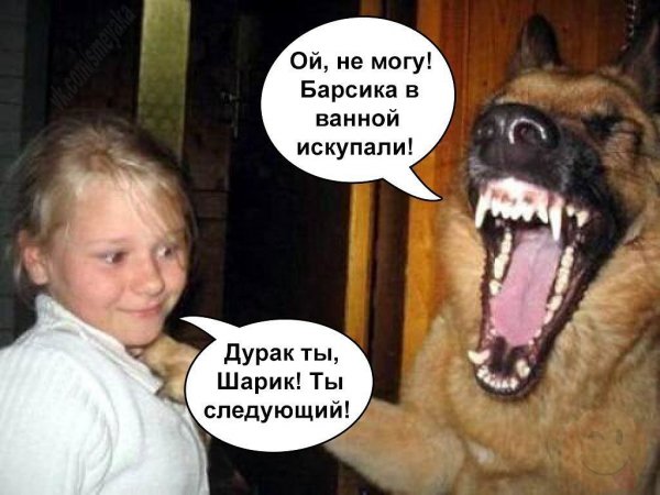 Оба - на!!!