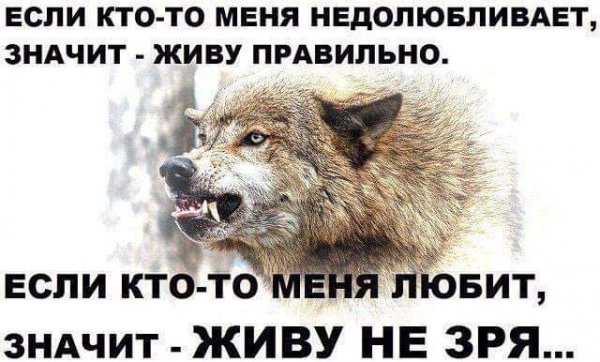 FB IMG 1593588478462