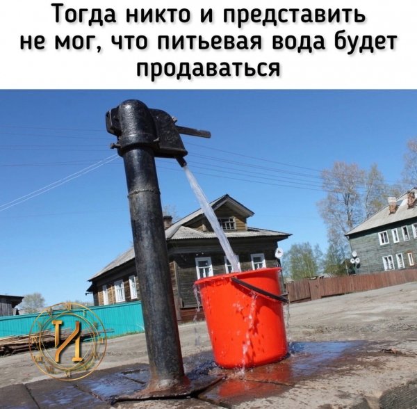 IMG 20240203 113015