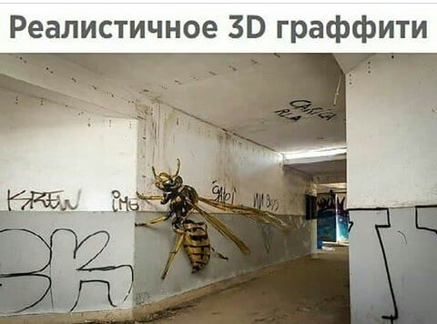 image834