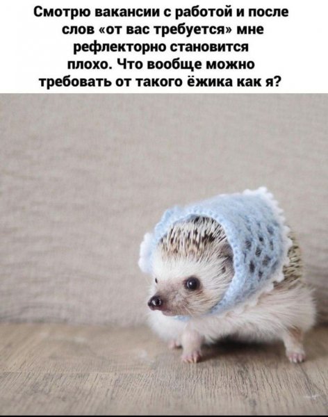 Cbb8a81c6b2ecba77b02ddffc5f53d10