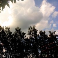 IMG 20150712 173936