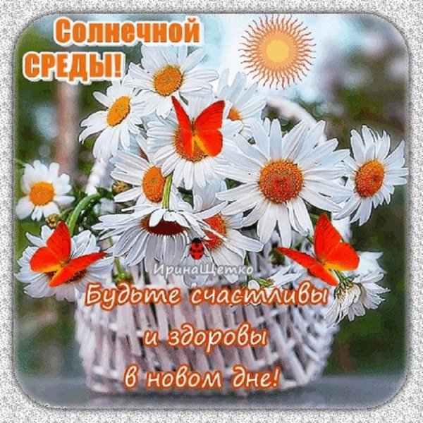 Друзья мои!