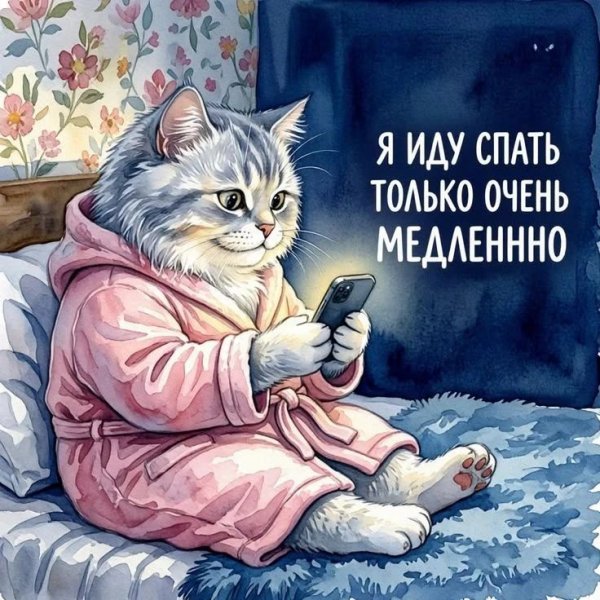 Спокойной ночи