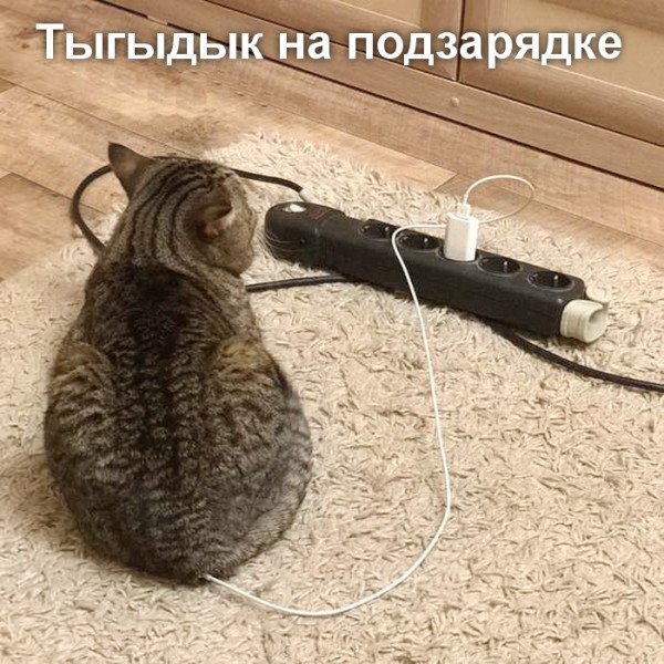 picture_420637248