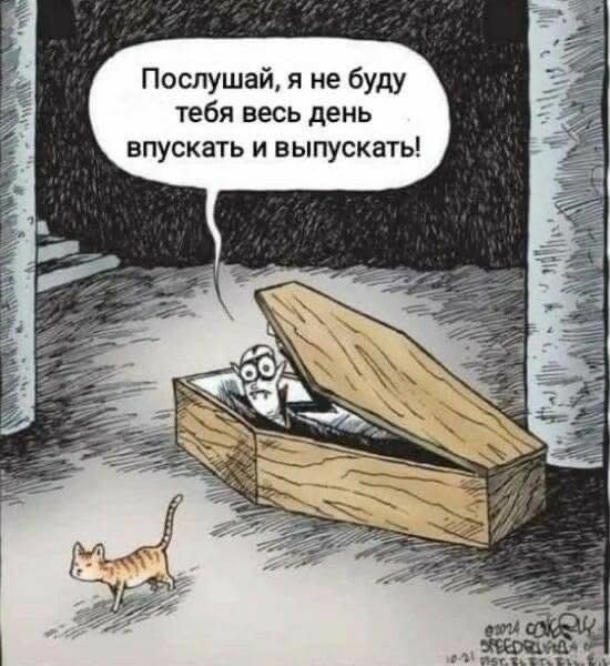 Юмор