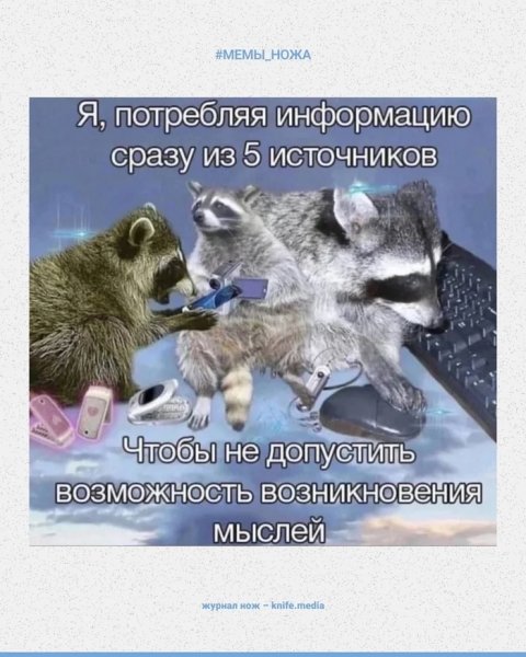 Инфа )