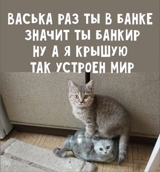 Так устроен мир