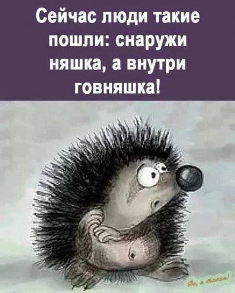 picture_419397661