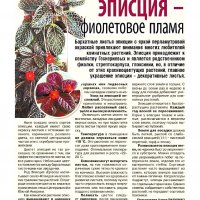 Эписция