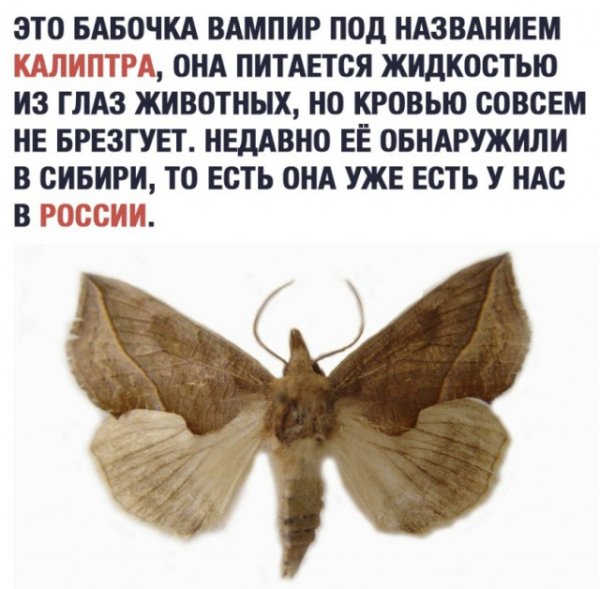 Внимание!