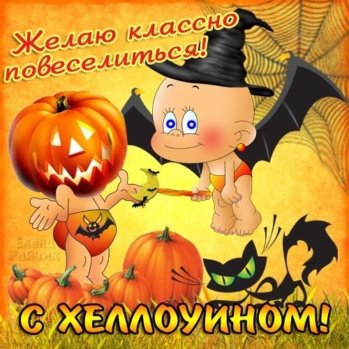 picture_253075913