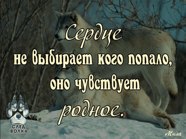 IMG 20180308 230258 36