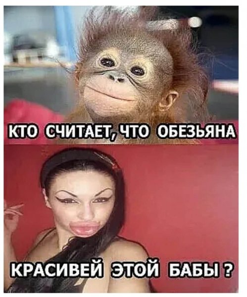 FB IMG 1595616891425