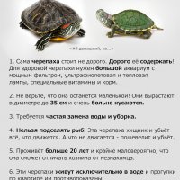 На заметку