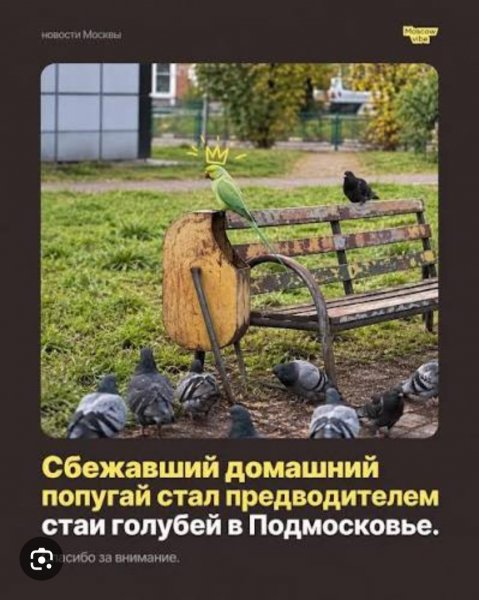 IMG 20261006 103252