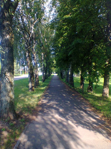 Дорожка