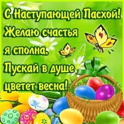 getImage(647)