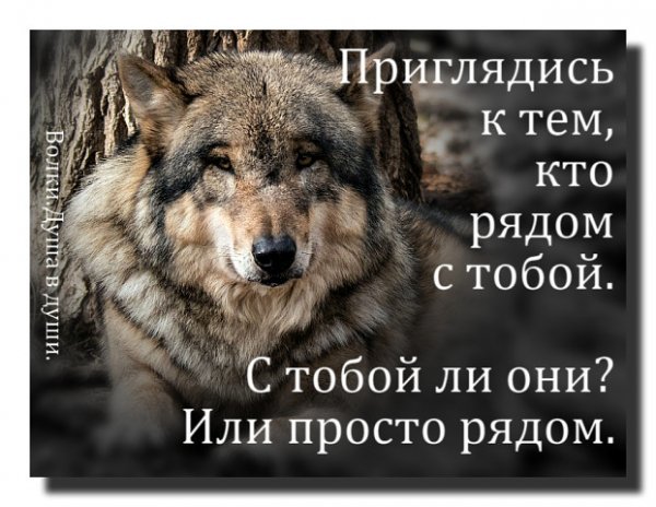 Кто рядом