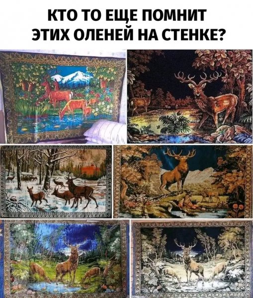 FB IMG 16467391984822645