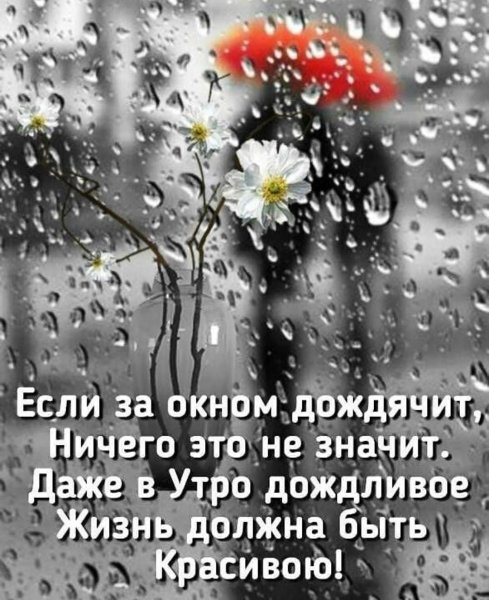 9ad1e8e232e8a0b4f65a278c8fd75739