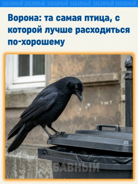 5ktq1mgfxK6nCIYstwcOH9W 5AJmtwL2YOsKG2DqG6sLrhDnhjRKWcqjrz R