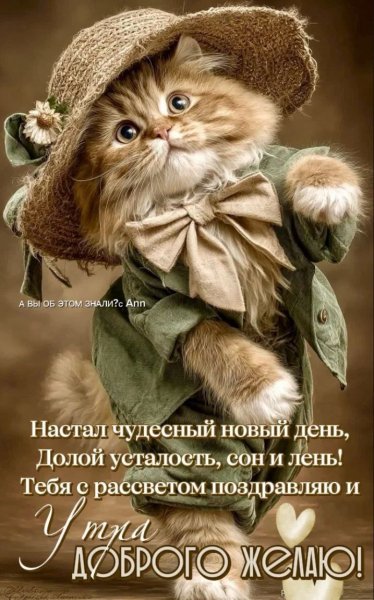 IMG 20261005 073617 943
