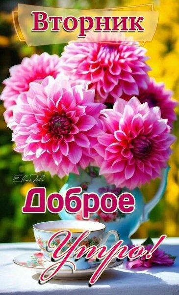 Друзья мои!