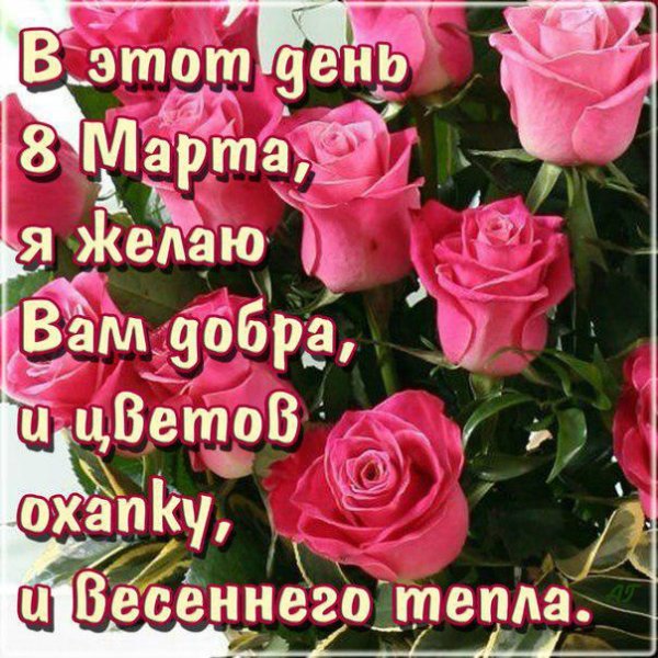 ki2CDvznXfI