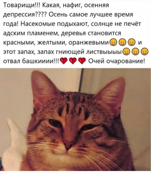 p.1200.1200.0